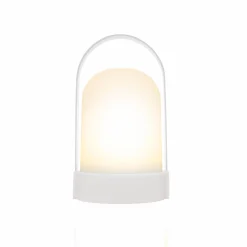 Leuchten><noscript><img width=