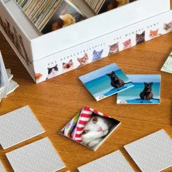 Gedächtnisspiele>REMEMBER 44 'Cats'