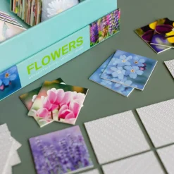 Gedächtnisspiele><noscript><img width=